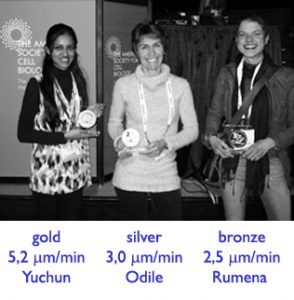 the-race-laureates-316p_width