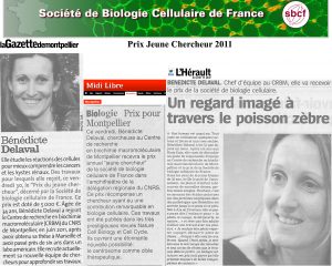 presse