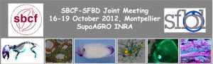 5_development-meets-biology-banner-email