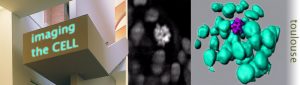7_imaging-the-cell-toulouse-2012