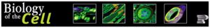 biology_of_the-cell-banner