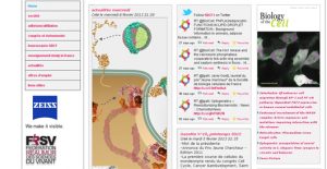 new-layout-webpage