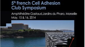 cell-adhesion-2014-banner