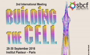 banner building the cell 2016