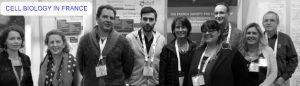 sbcf-ascb-bw-compilation